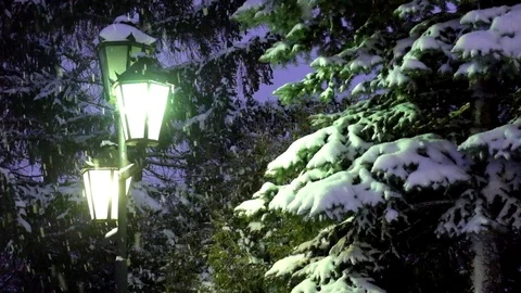 It is snowing in the evening light of a street lamp. Snow is falling covering Stock Footage 101012898