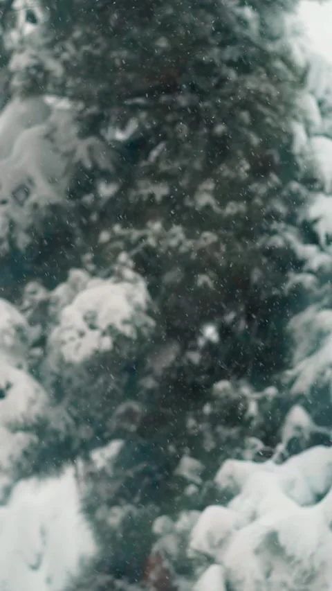 It is snowing heavily outside Stock Footage 254649735