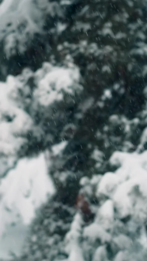 It is snowing heavily outside Stock Footage 254844450