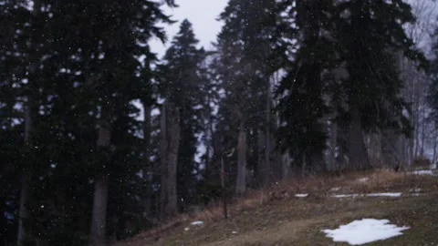 It snows against the backdrop of a snow-covered forest Video stock 232446875
