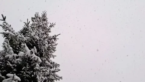 It snows at the end of November in Romania. 4K Stock Footage 293096367