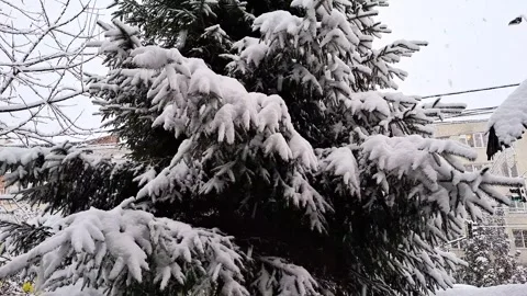 It snows at the end of November in Romania. 4K Stock Footage 293096370