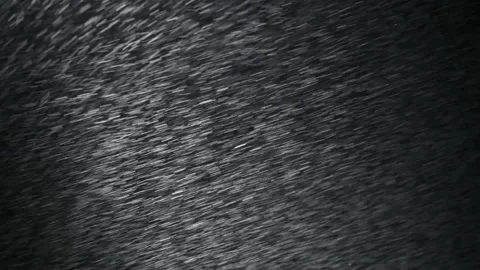 It snows at night in a ray of light. Stock Footage 148435640