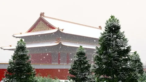 It snows in the Palace Museum in Beijing in winter Stock Footage 259449802