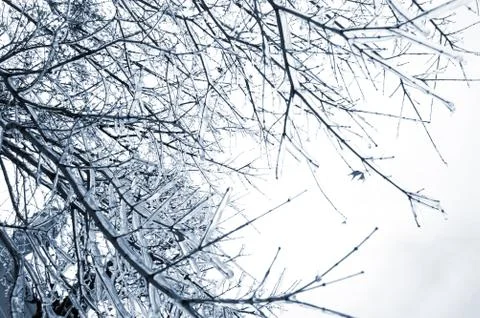 It snows Stock Photos