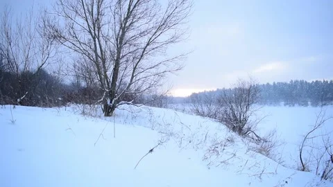 It snows on the shore of a forest lake on a winter day Stock Footage 168962651