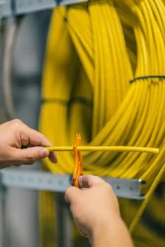 IT specialist removes the upper layer of insulation of the network cable Fotos Stock