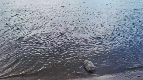 It starts to rain, and large drops fall on the surface of the river Stock Footage 340238569