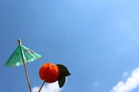 It is summer Stock Photos