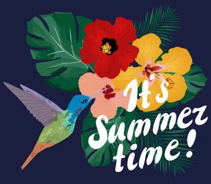 It is Summer Time Vector Stock Illustration