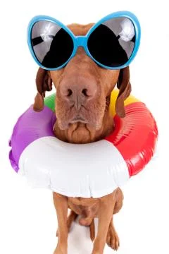 Is it summer yet ? Foto stock