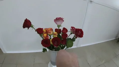It takes a red rose from the vase. Flower salon. Stock Footage 88404458