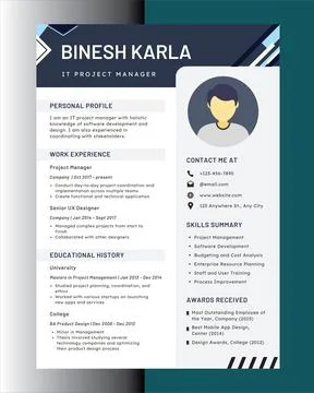 IT Technical CV Resume Illustrazione stock