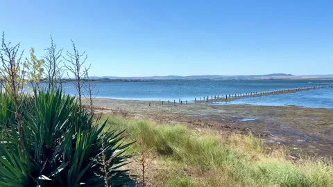 It is very salty lake. Salt is mined here. Also the lake is healing. Stock-Footage 252170895
