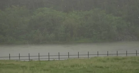 It was raining heavily, the garden place by the river, surrounded by a woode Stock Footage 166316463