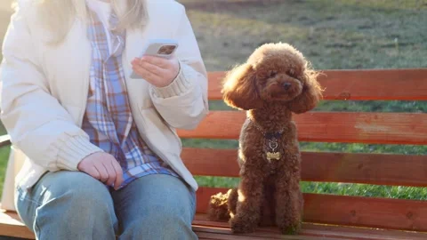 It was a truly relaxing day spent enjoying time in the park with an adorable Stock Footage 307817764