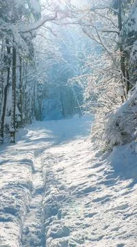 It is winter time now Stock Photos