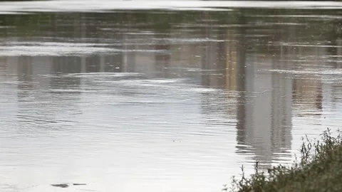 The Itajaí-Açu River flowing through Blumenau, SC Stock Footage 317795003