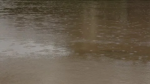 The Itajaí-Açu River flowing through Blumenau, SC Stock Footage 317795012