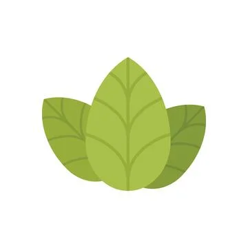 Italian basil icon flat vector. Herb leaf Stock Illustration