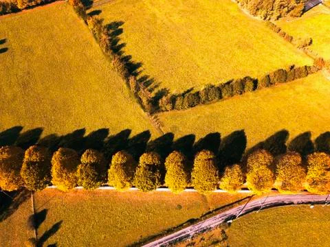 Italian fields Stock Photos