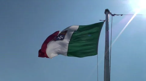 Italian Flag Stock Footage 496169