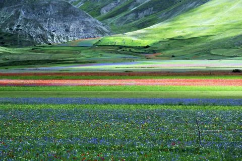 Italian landscape in springtime Stock Photos