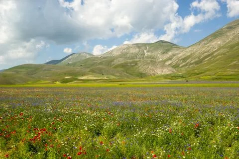 Italian landscape in springtime Stock Photos