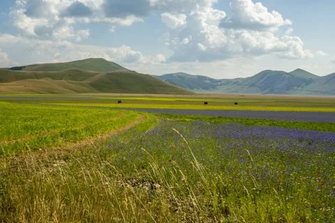 Italian landscape in springtime Stock Photos