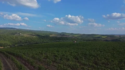 Italian landscape with vineards Stock Footage 162167345