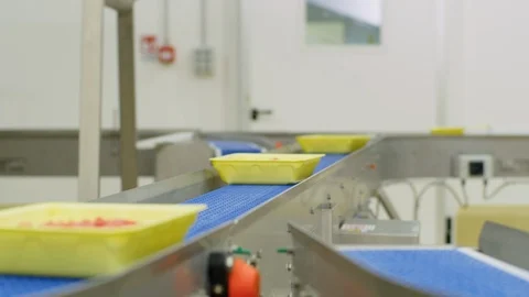 Italian minced meat while being transported by the belt 4k Stock Footage 86852402