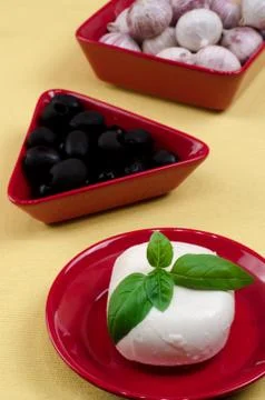 Italian mozzarella. Stock Photos