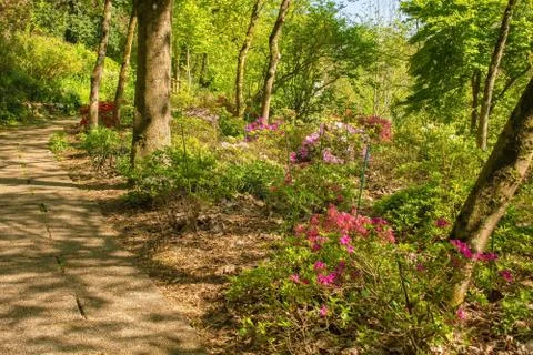 Italian Park with Azaleas Stock Photos