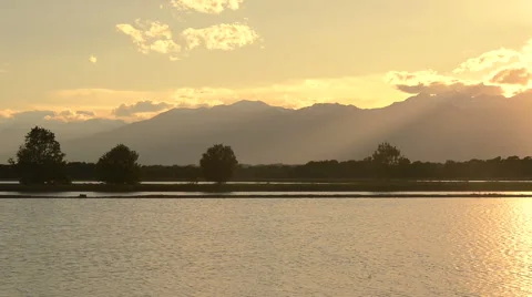 Italian rice fields in vercelli at sunset in summer day Видео 64536071