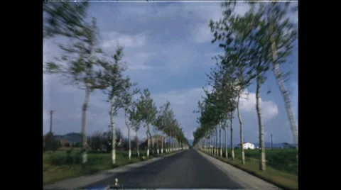 Italian Road Lined with trees Video stock 47971016