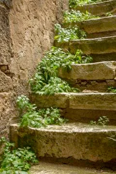Italian Steps Stock Photos