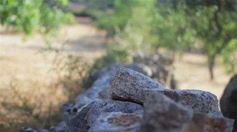 Italian Stone Wall Stock Footage 42952253