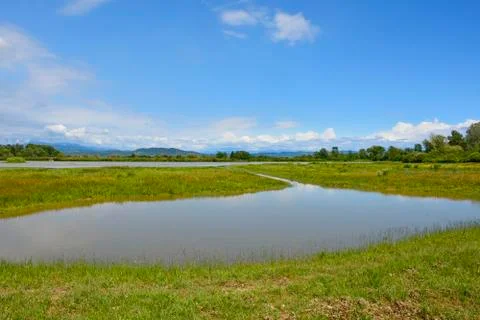 Italian Wetland Stock Photos