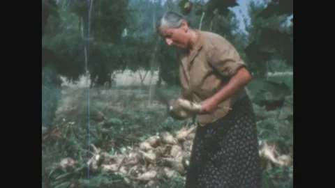 Italy 1963, Farmers work in the fields Video stock 170458681