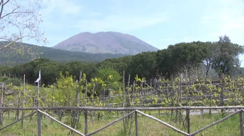 Italy - Campania - Vesuvius (Naples) Видео 8367053