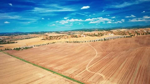 Italy-Drone 4K back pan Aerial View of Wheat Field Cypress trees-Tuscany  Stock-Footage 240140668