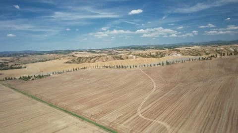 Italy-Drone 4K long back pan Aerial View of Wheat Field Cypress trees-Tuscany 스톡 동영상 240140913