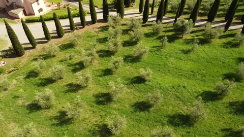 Italy Video stock 286034670