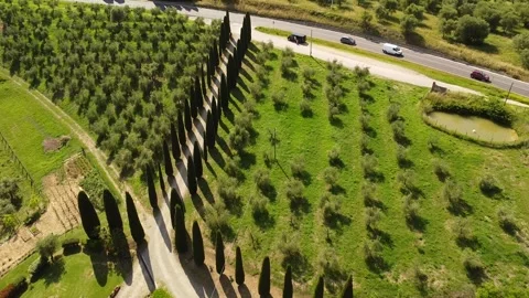 Italy Video stock 286034744