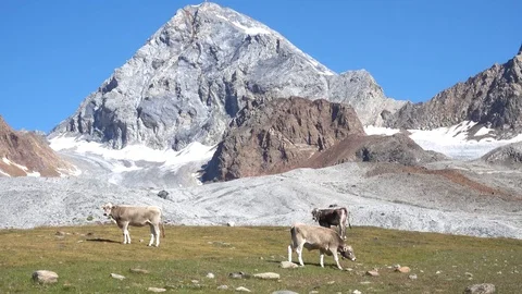 Italy mountains Ortler Stock Footage 116972823