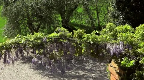Italy, Rome Stock Footage 10981323