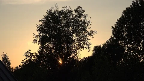 Italy setting sun through tree Stock Footage 90270089