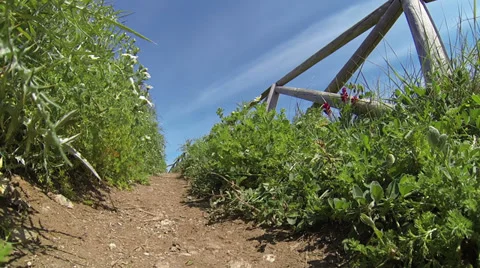 Italy - tracking path Видео 37553164