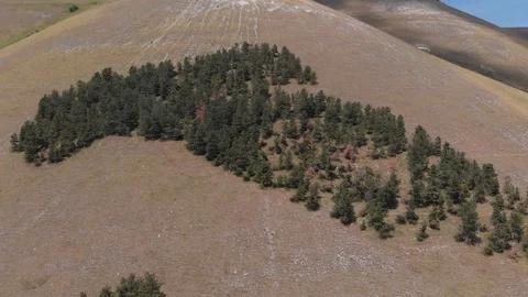 Italy of trees Video stock 105131536