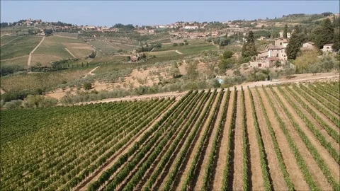 Italy Tuscan vineyard 3 Stock Footage 97996803